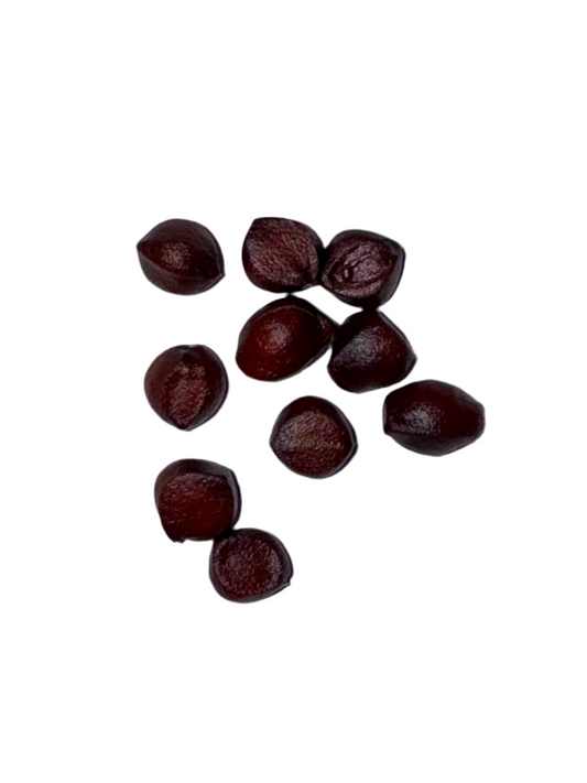 10x Yellow Iris Seeds