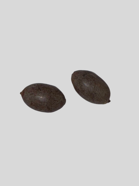 *LIMITED ITEM* 2x Sacred Pink Lotus Seeds