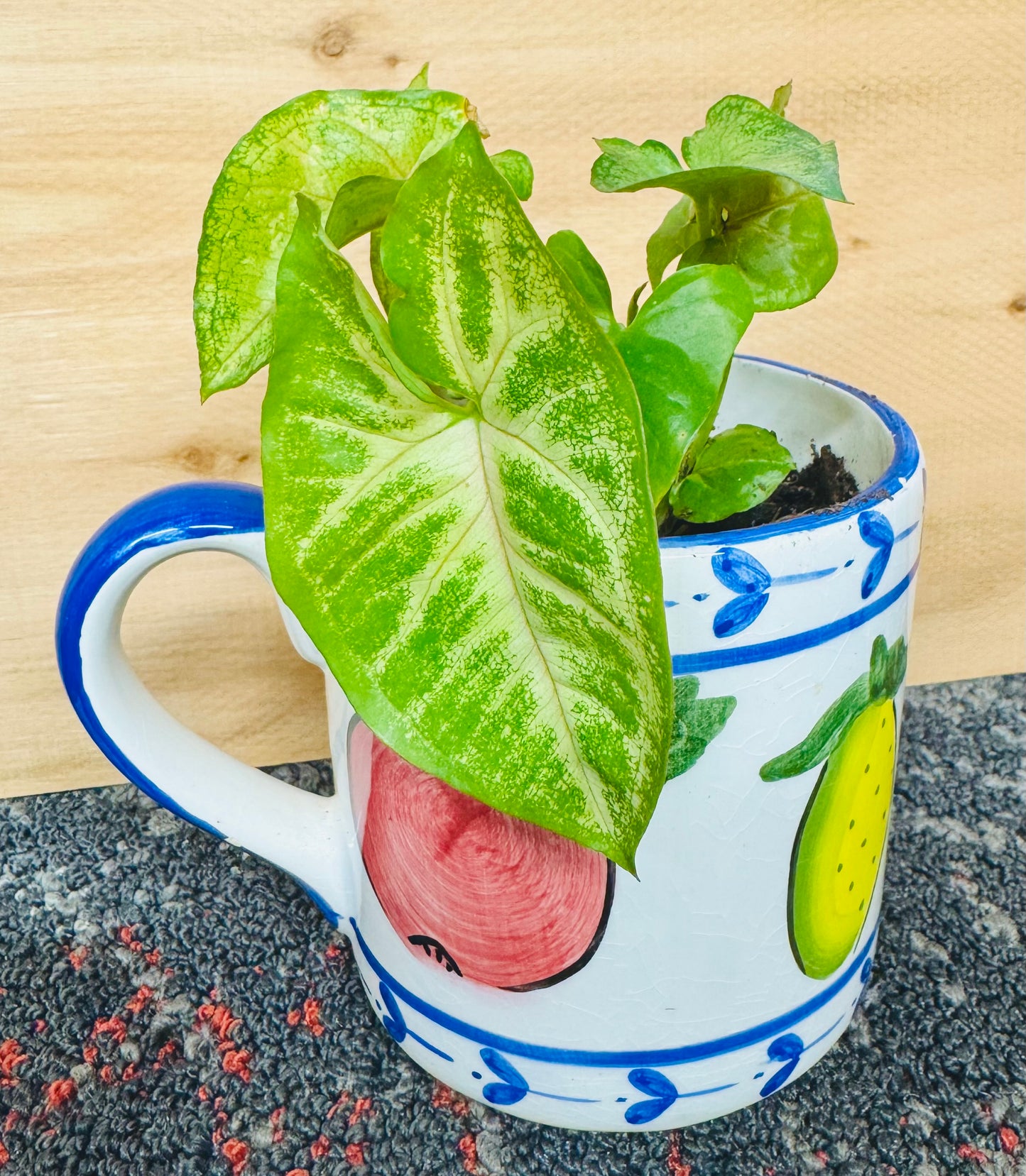 6” Syngonium Evergreen Coffee Mug