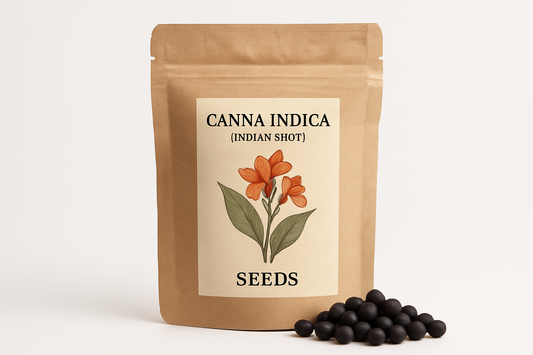 Professional Canna Indica Seeds